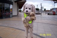 Johnny and Andy at Westwood Cross