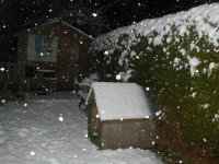 The Garden at home in the snow