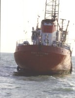 Ross Revenge 1984