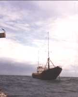 Ross Revenge 1990