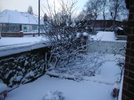 From my front door looking down the road