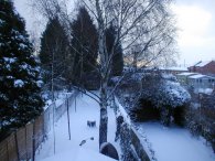 My back garden on the 11th Feb 2010